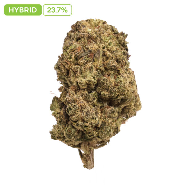 Alien OG THC-A Buds