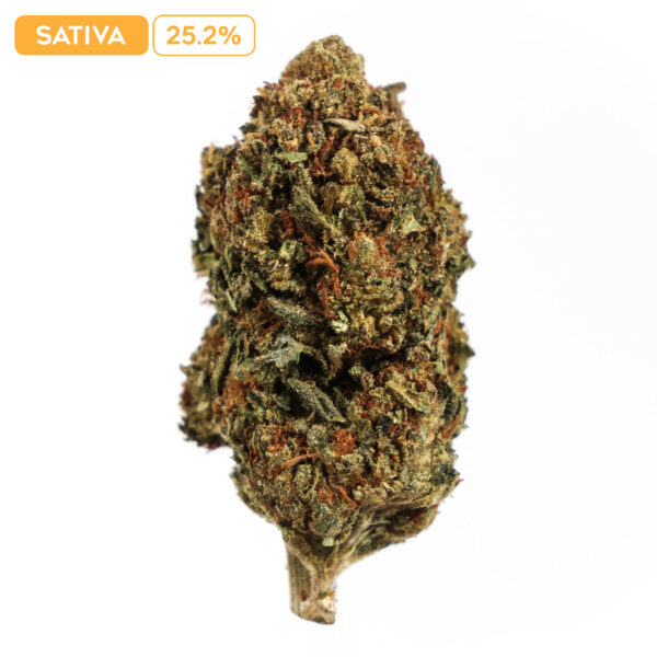 Blue Dream THC-A Buds