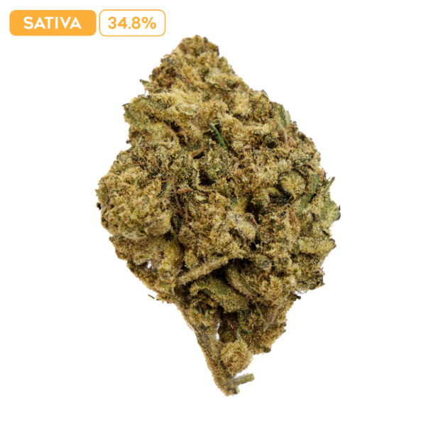 Future Haze THC-A Buds