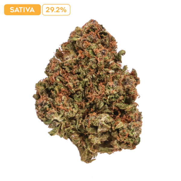 Grandi Candi THC-A Buds