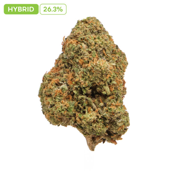 Gelato 41 THC-A Buds
