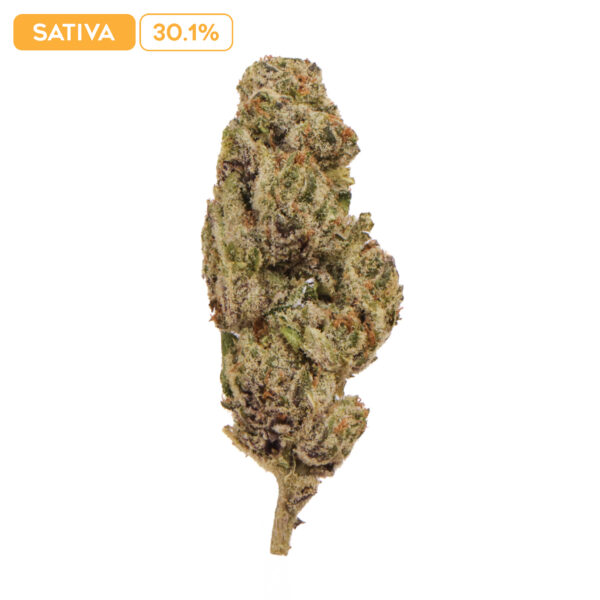 Gelonade THC-A Buds