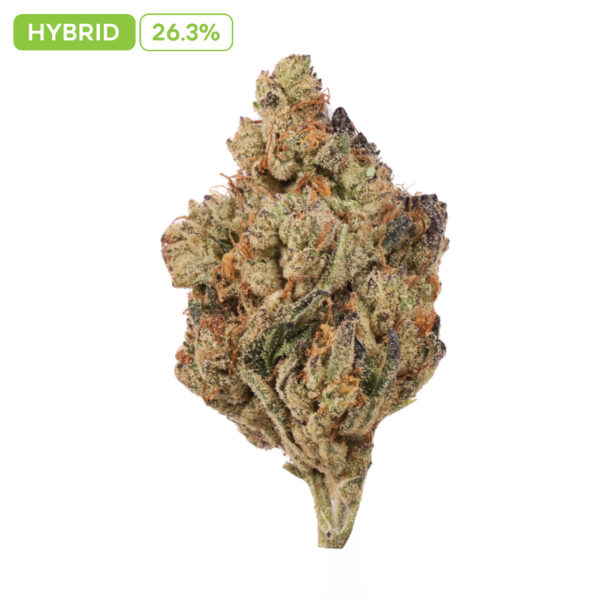 Gush Mintz THC-A Buds
