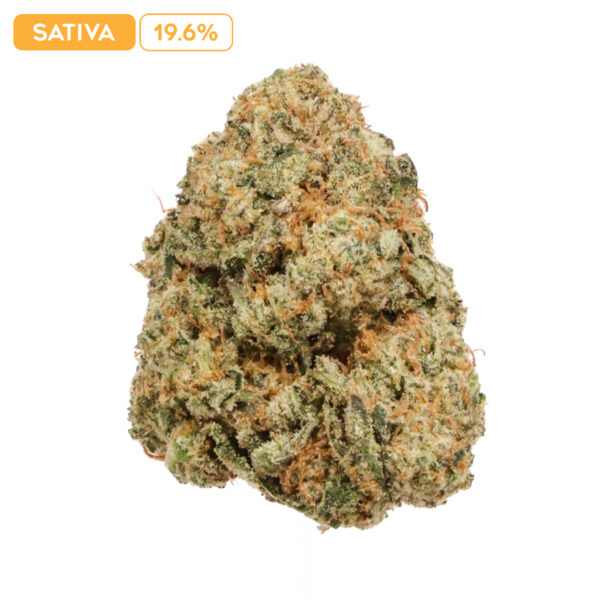 Mafia Funeral THC-A Buds