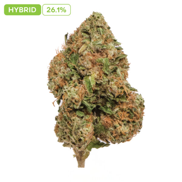 Pink Cheetah THC-A Buds