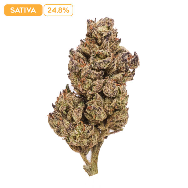 Red Congo THC-A Buds